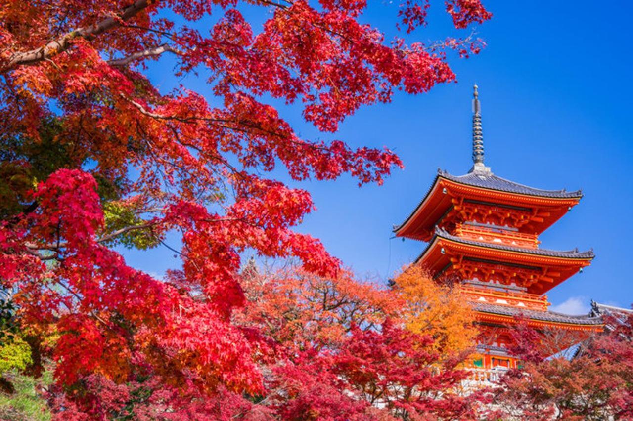 中川西 地下鉄今里駅一戸建 Samurai House Guest House Imazato 難波直通 最大7名 Oszaka Kültér fotó