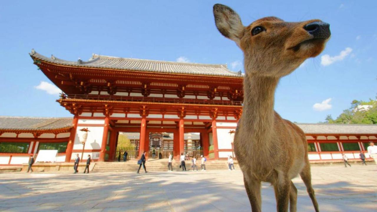 中川西 地下鉄今里駅一戸建 Samurai House Guest House Imazato 難波直通 最大7名 Oszaka Kültér fotó